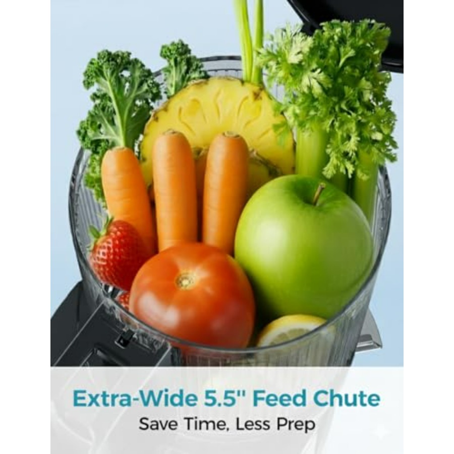 Cold Press Juicer Machines EUH - огляд і ціна Juicer Cold Press Slow